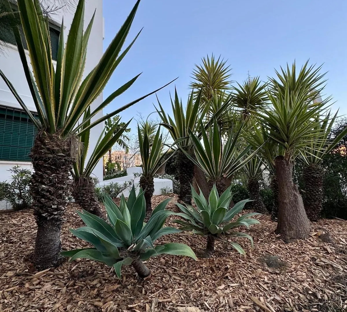 Cactus Apartment Benalmádena