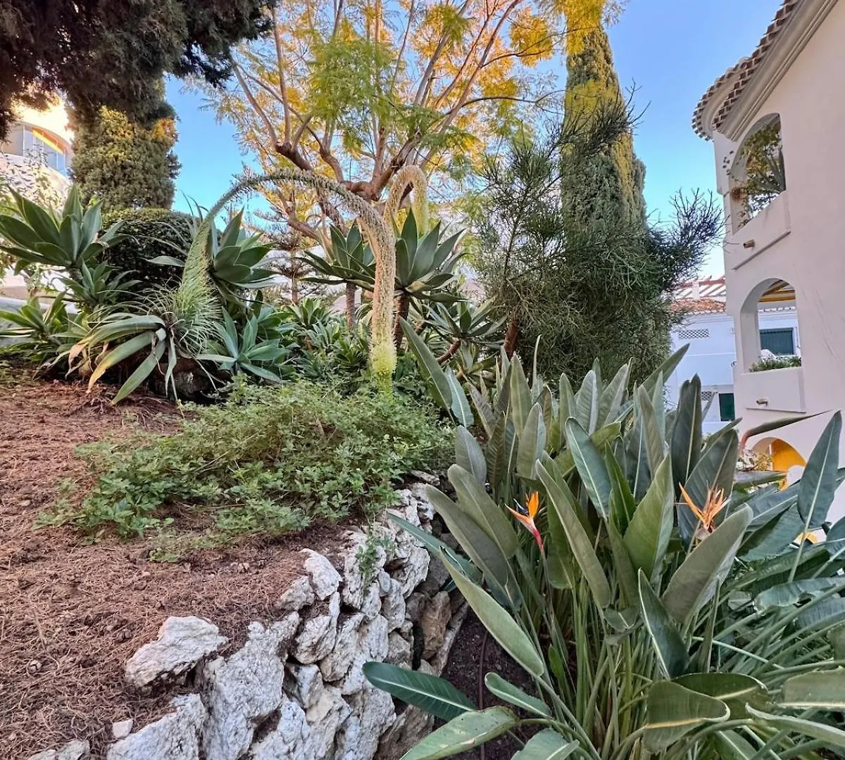Cactus Apartment بينالماذينا
