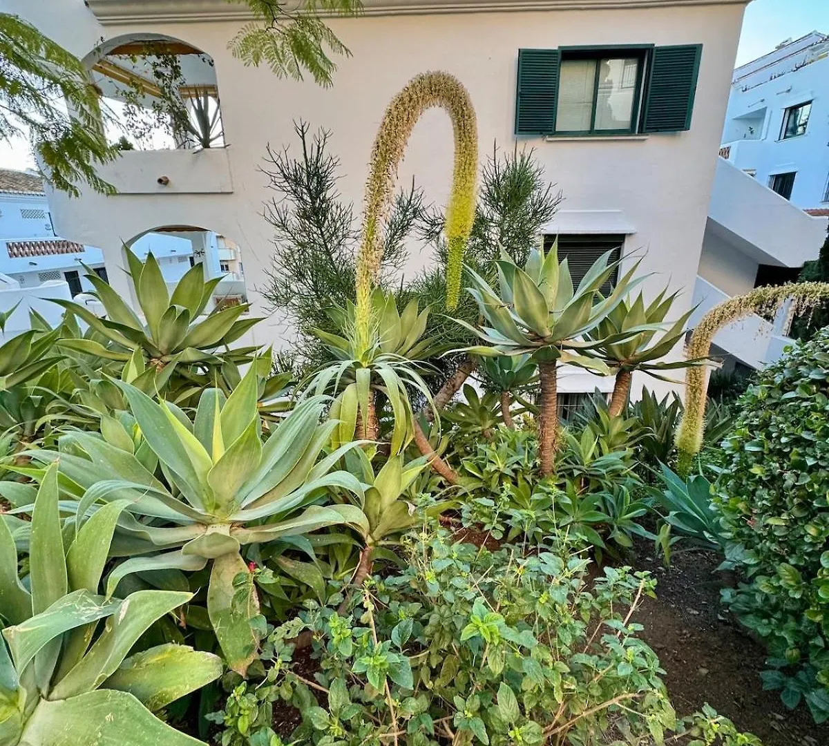 Cactus Apartment Benalmádena
