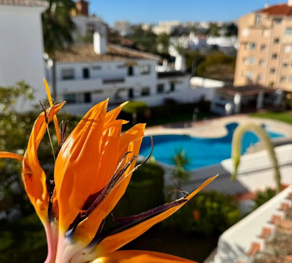 Cactus Apartment Benalmádena 0*,