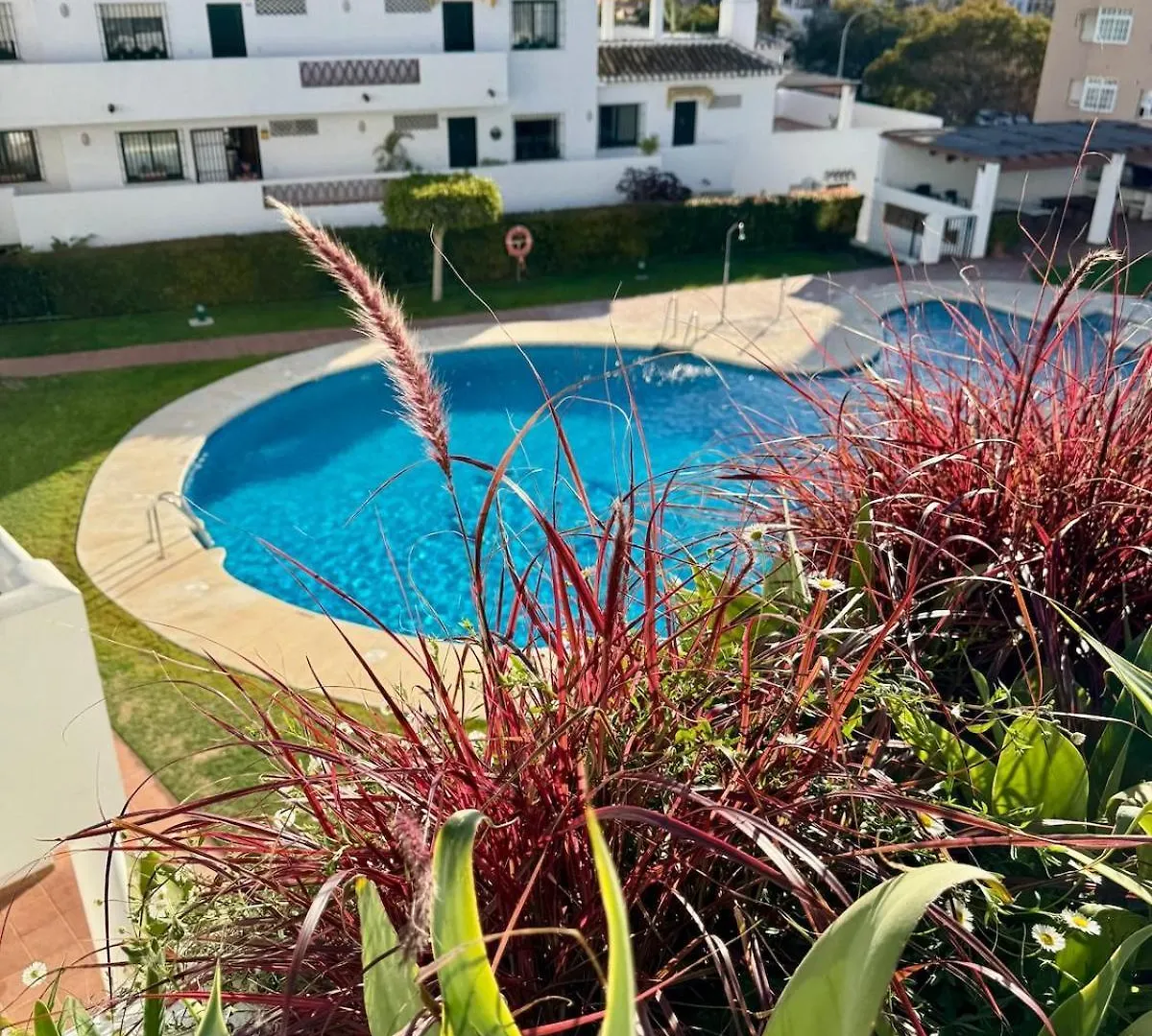 Cactus Apartment Benalmádena
