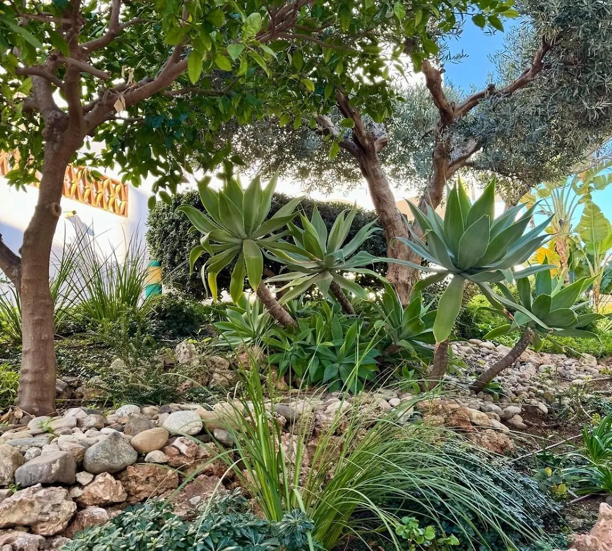 Cactus Apartment بينالماذينا