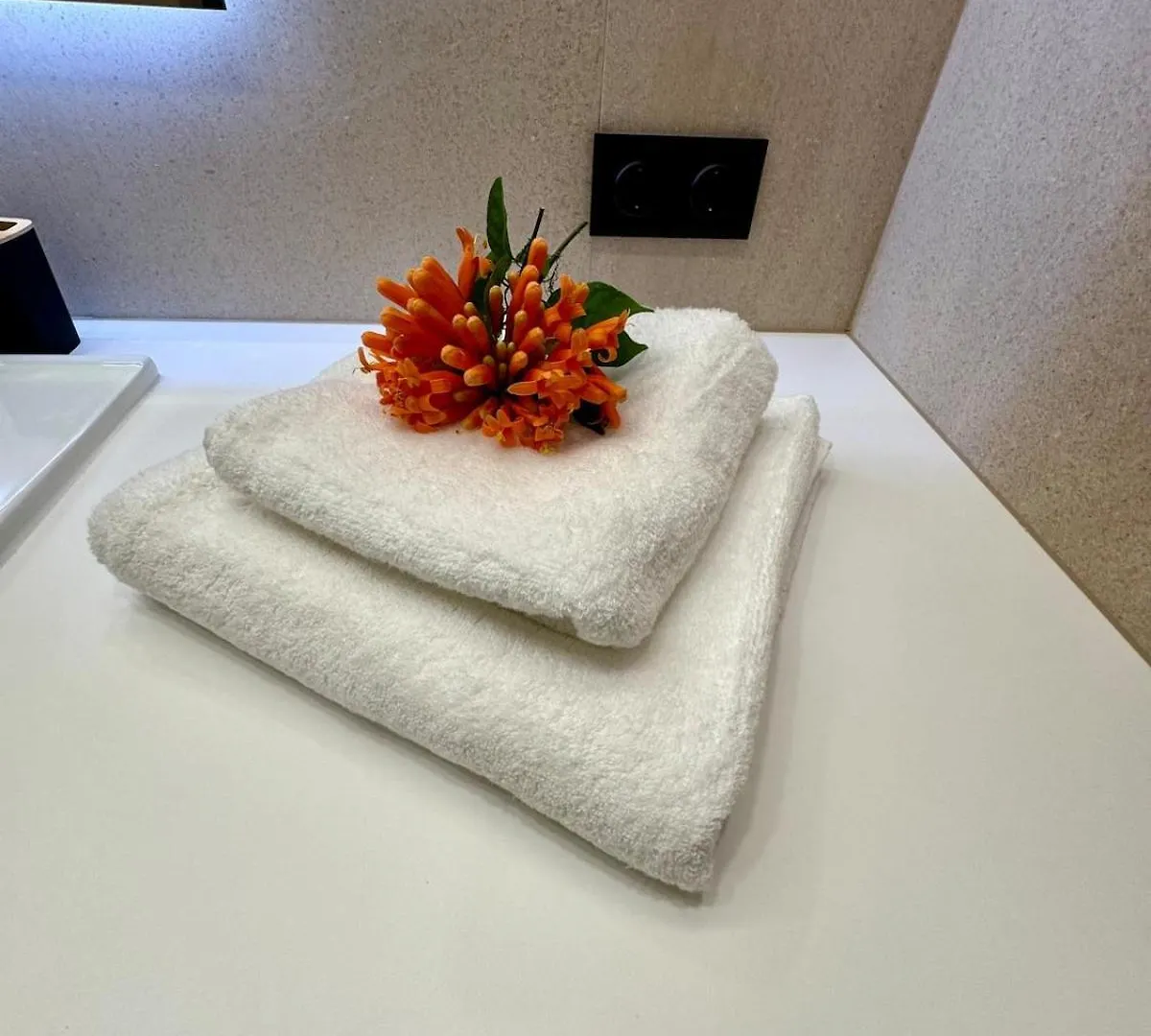 Cactus Apartment Benalmadena